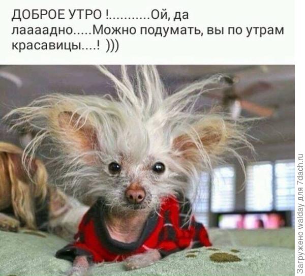 А я ишшо исправлюсь.