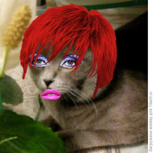 ПОЗДРАВЛЯЕМ!