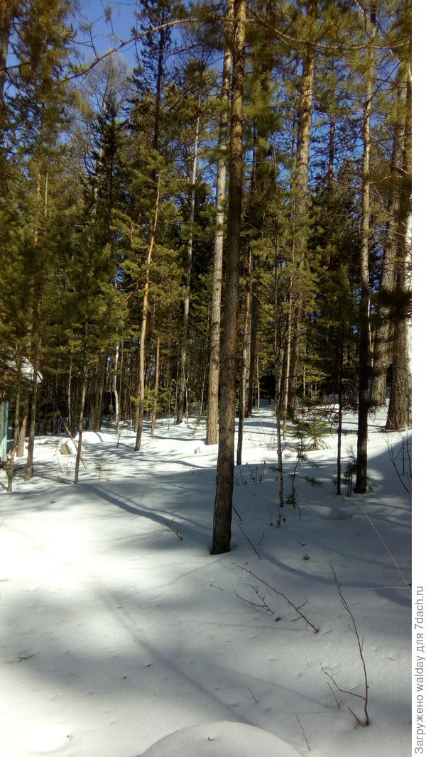 особливо до бани, как?