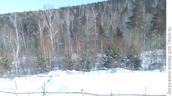 за огородом красотишша, а вовнутрях свиристит и произрастает