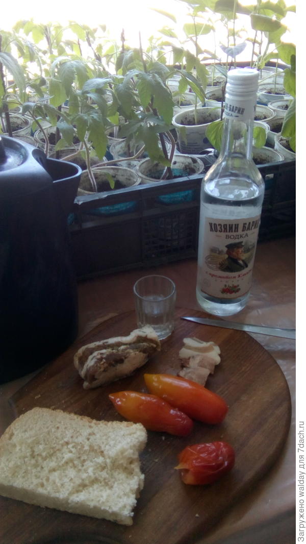 Насколько скуден первый после посадки чеснока обед на огороде: зеленушки никакой, редиска только всходить начала, лук многоярусный в теплице оставил побаловать бабушку...