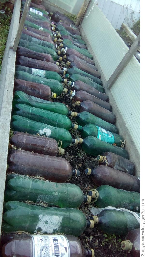 Как-то этак.