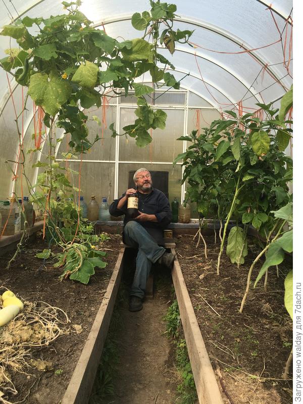 Поздняя осень, грачи улетели...