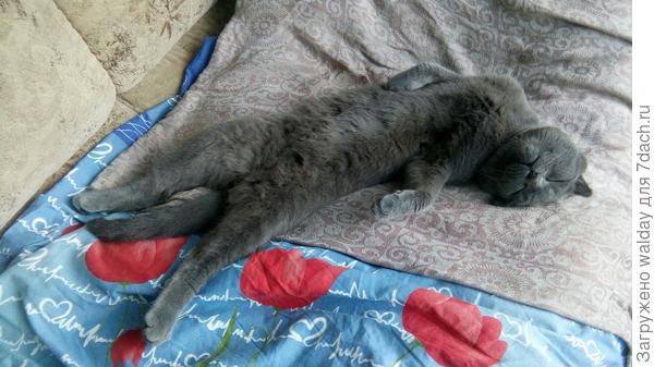 Рюмашку - другую, и набоковую.