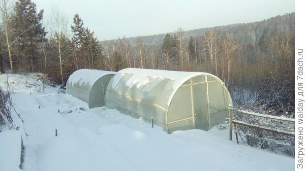 А на текущий момент на огороде как-то так.