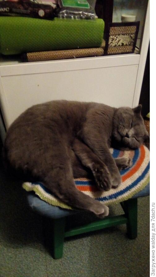 ...отоспимся-отлежимся...