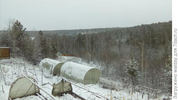 А сегодня с утреца вона как! Сибирь, панимаш...