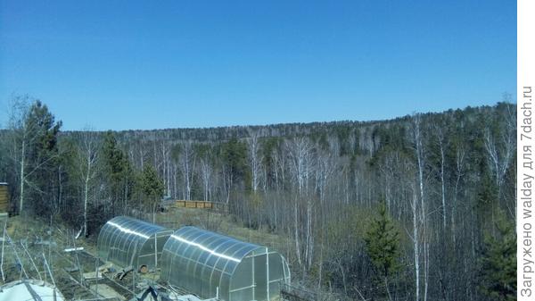 Дедины теплички, полдень.