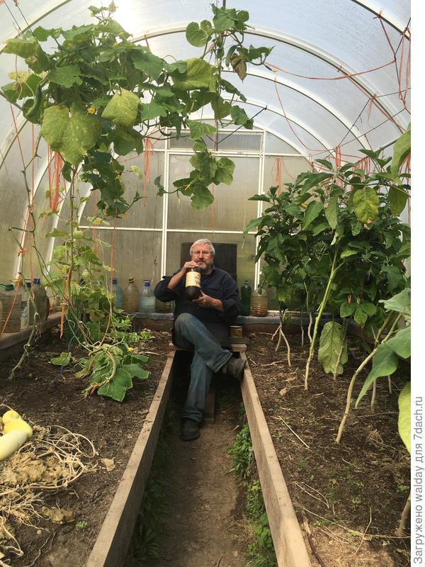 Осень-осенью, но пивка попить надоть...