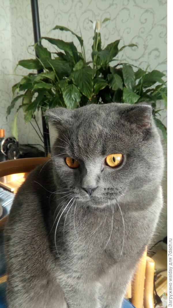 Витас, будешь на Колыме - заходи, побалдеем у деда на агароди!