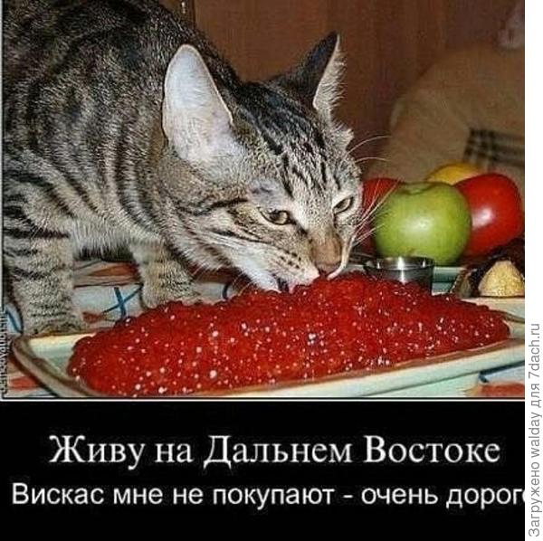 Да ладно, заходи, ежели чё!