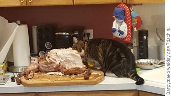 А можете и не поспешать...