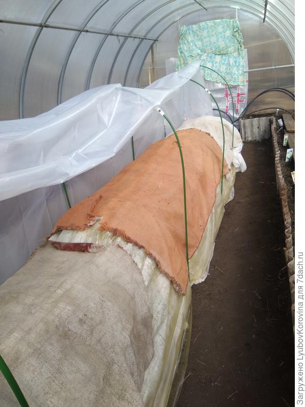 раскрываем укрытие