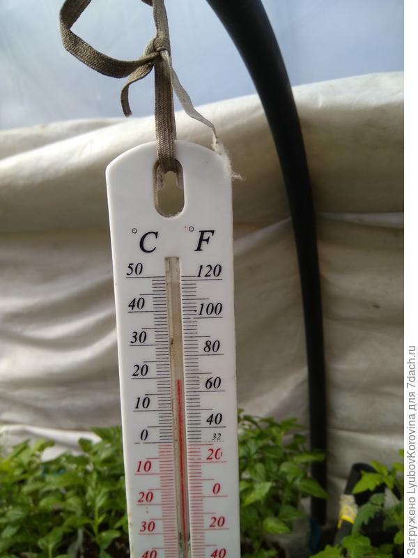 температура под укрытием