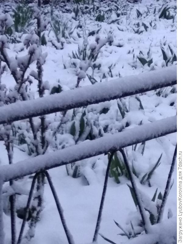 а это утром сегодня в 5,30