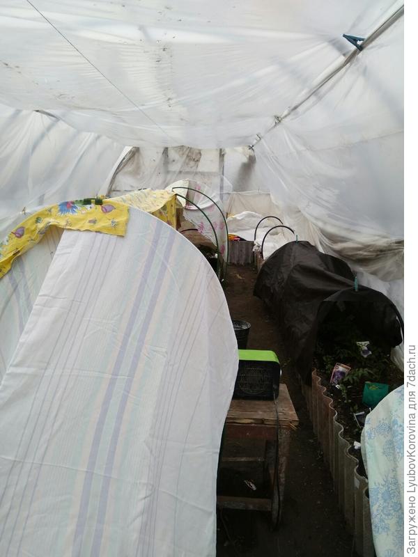 всем чем можно укрывала и обогреватель ставила