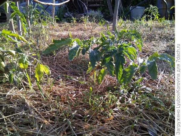 Любаша на улице