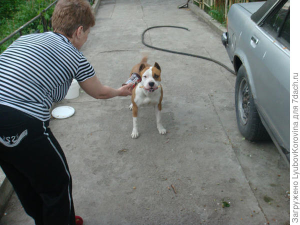 Не обманешь, такое не пью и не ем