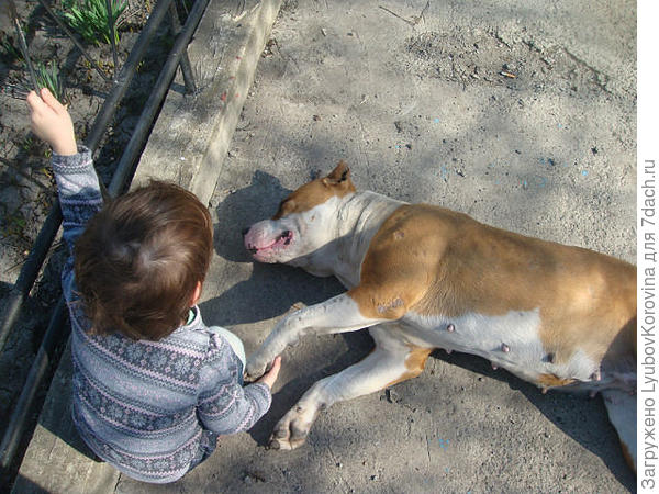 Ну на тебе лапу!