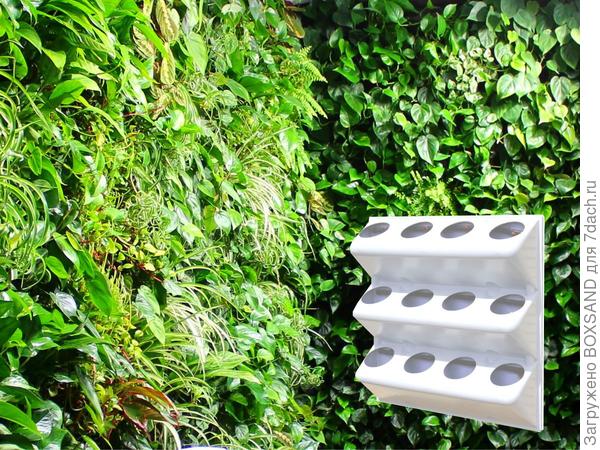 Фитомодуль 60х60 см