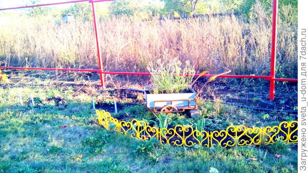 клумба-тачка