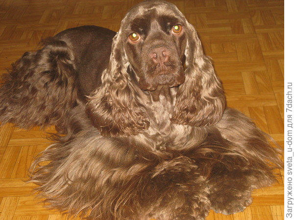 Вот наша девочка бежевая)))))