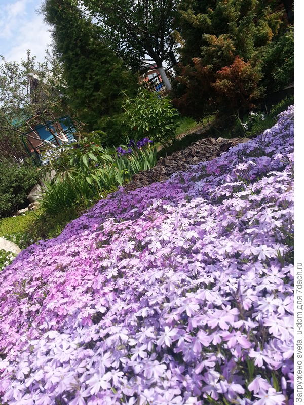 и с другой стороны хорош