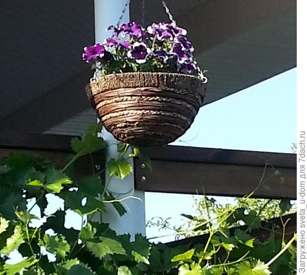 вот таких 3 кашпо