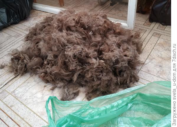 Вот сколько настригла! Как с хорошей овцы)