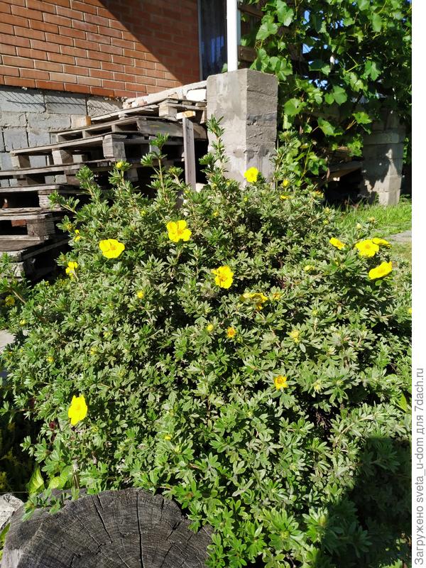 Горка осталась по левую сторону от кадра.