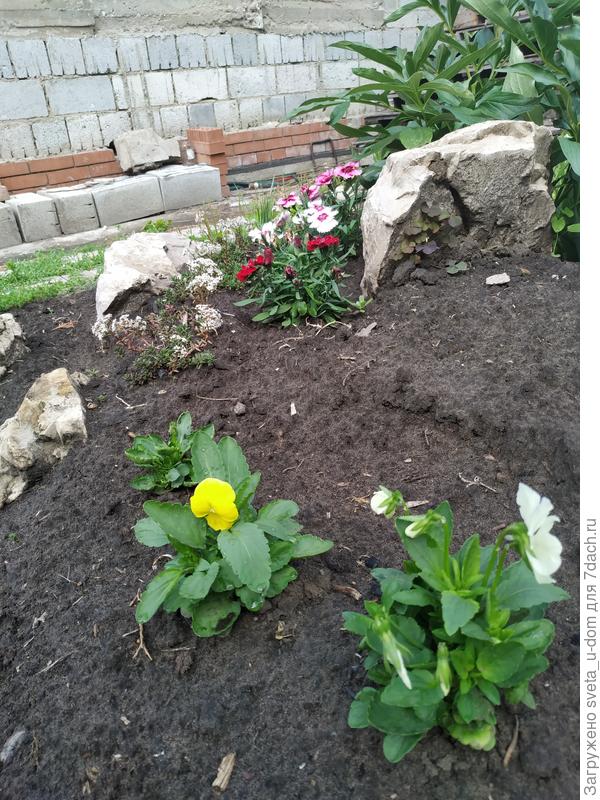 Свежее фото