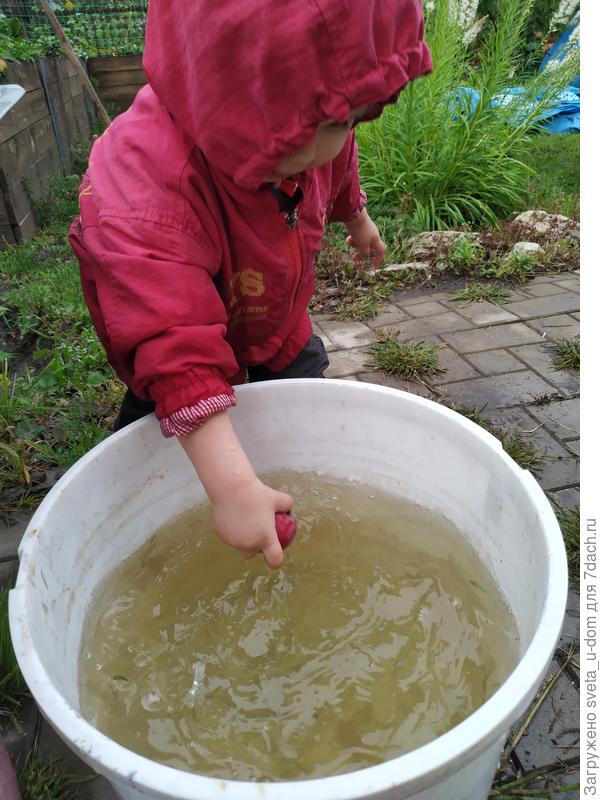Чистота залог здоровья!