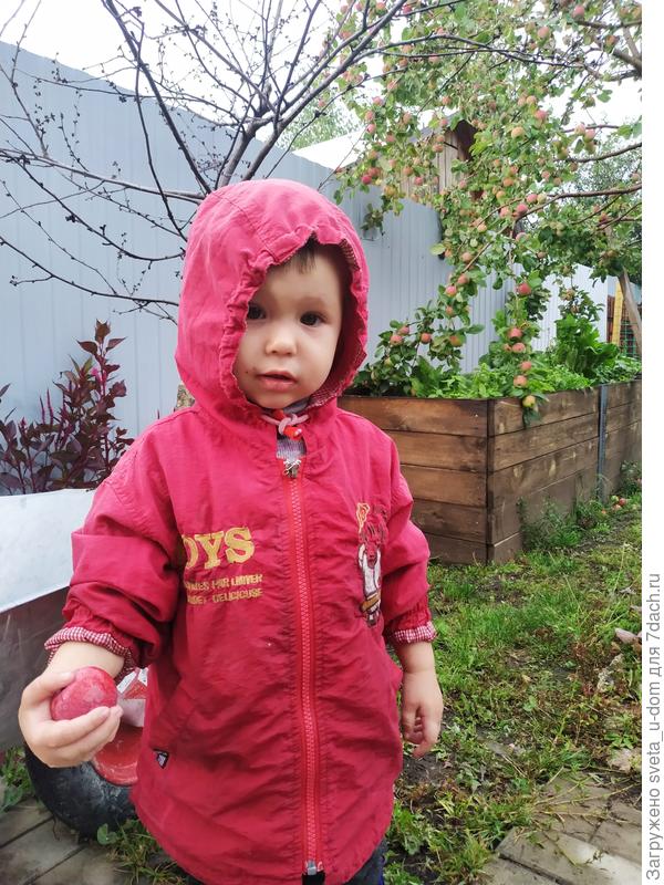 Племянница у меня работящая)