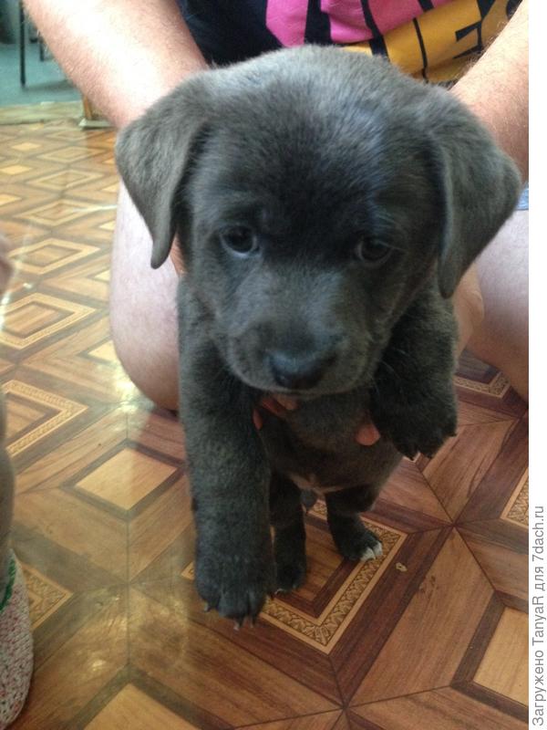 Это Филимон в детстве