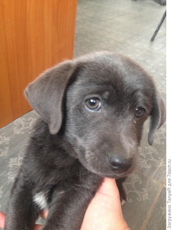 Филя в детстве