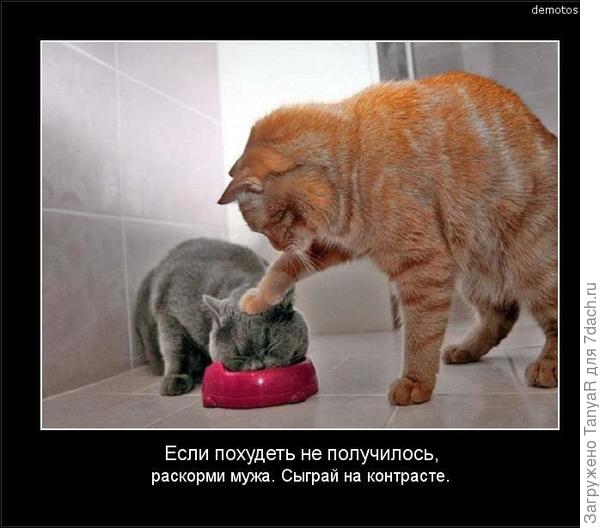 Это про меня