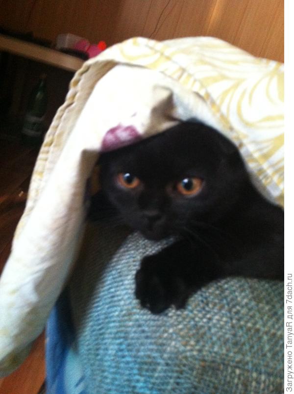 в подростковом