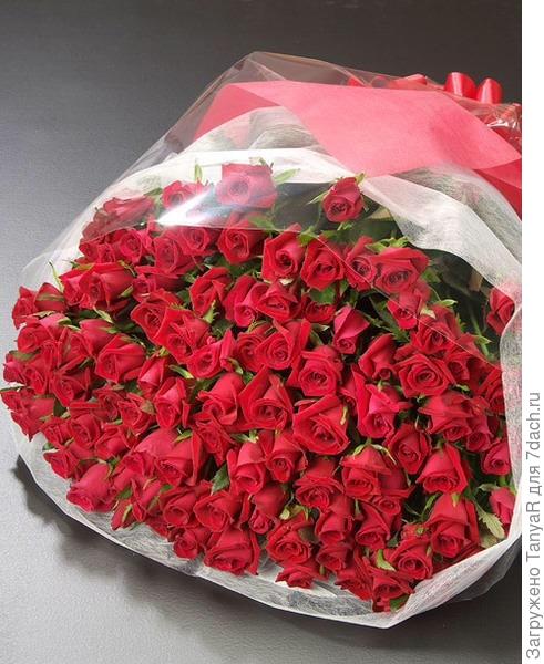 Девчонки, будьте счастливыми!!!