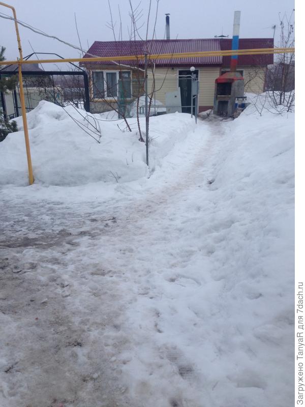 Это мой март, тоже пока без зелени)