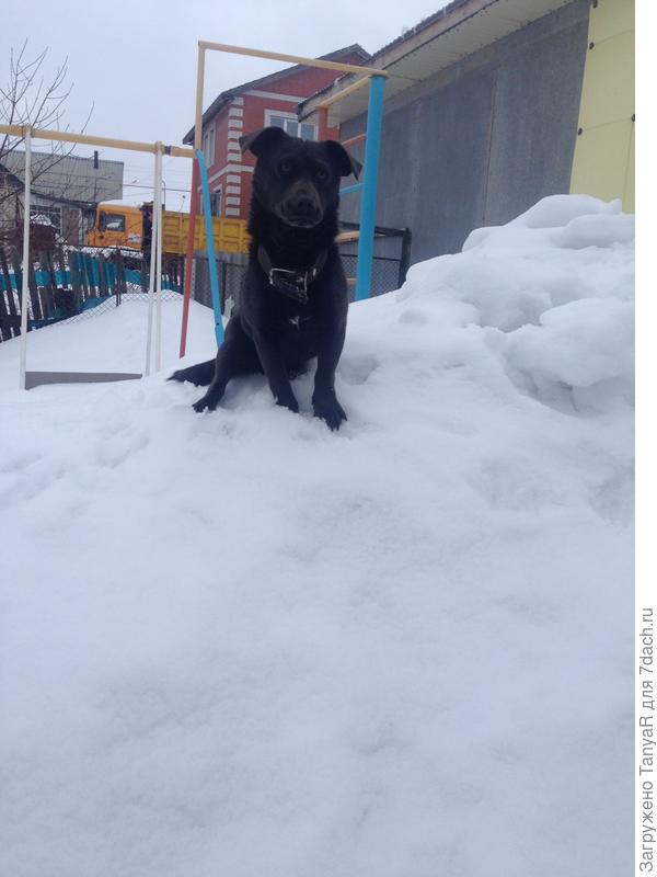 Правда Филька в моем телефоне только на зимнем фоне)