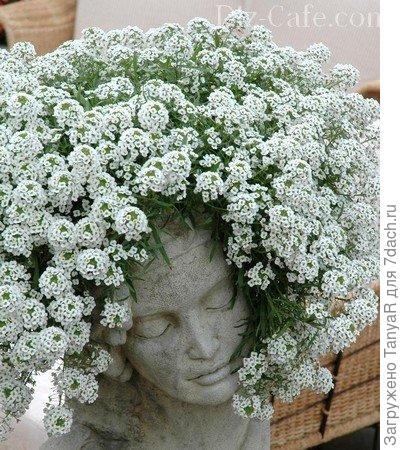 Счастье, что в стоге иголка. Счастье, что тонкая нить. Можно искать его долго. Рядом оно может быть. О.Хаям