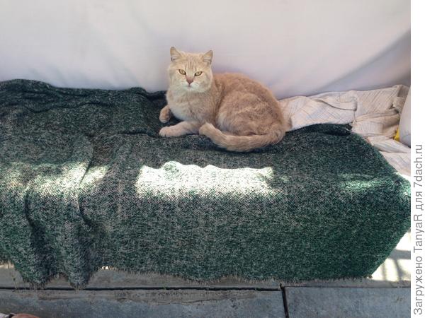 Хозяин качельки