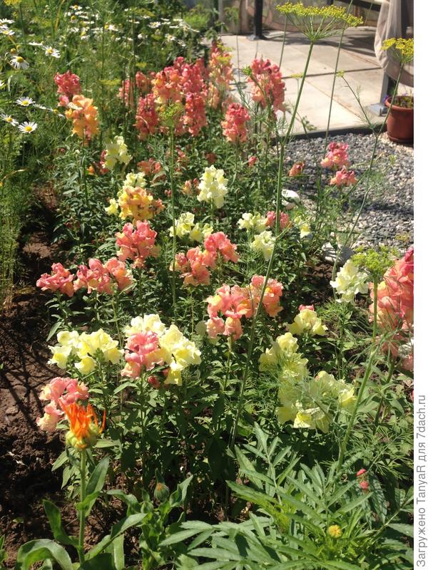 С Днём рождения!здоровья!