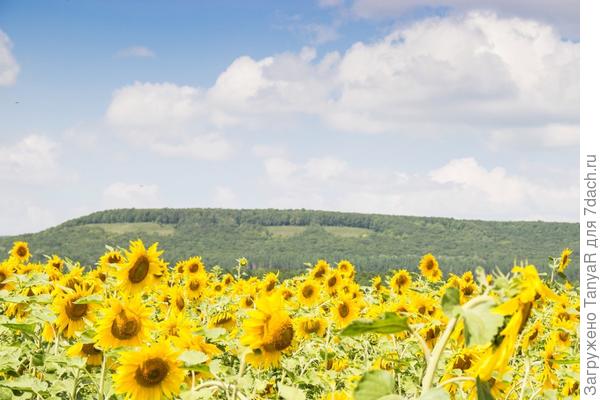 Глубинка в Самарской области