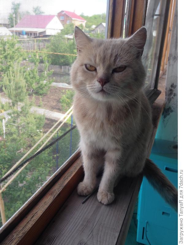 буква М почти видна