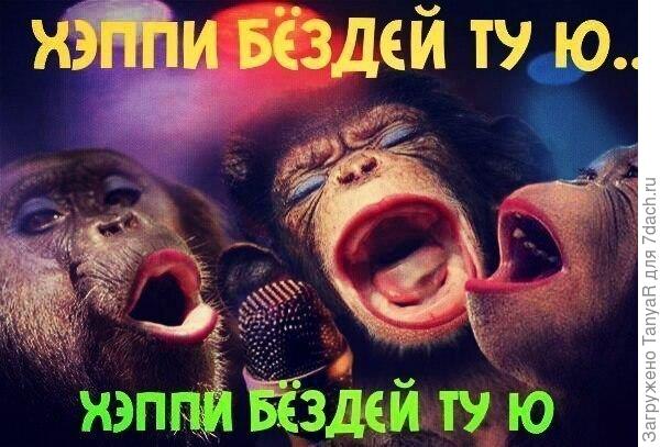 Не удержалась, уж такие они заводные)))