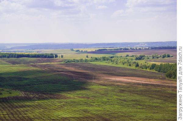 Как будто облако нависло , над полем тень. Самарская область