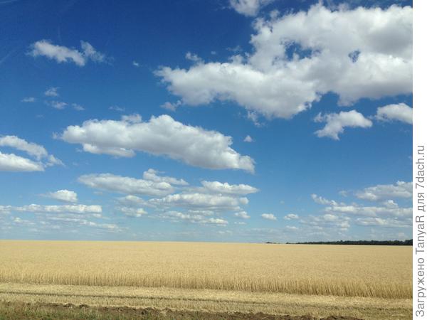А облака..то ли Волгоградская..то ли Ростовская...Южные облака