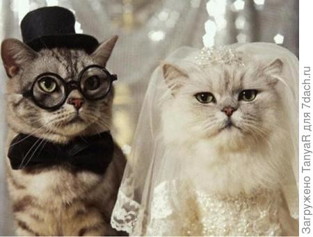 Живите долго и счастливо!С праздником!