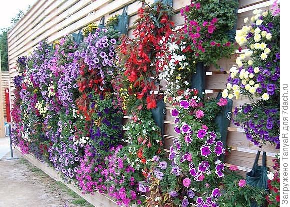 фото из интернета